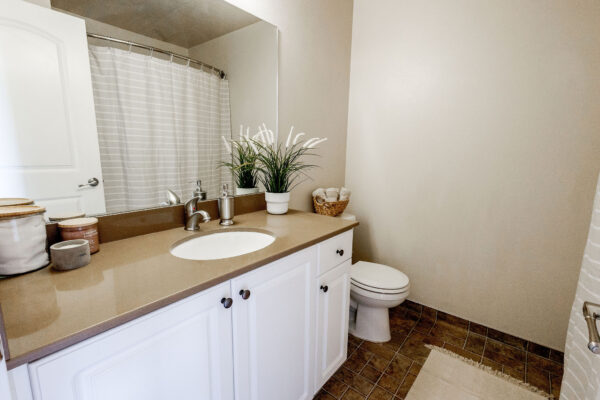 Apartment Bathroom with Vanity