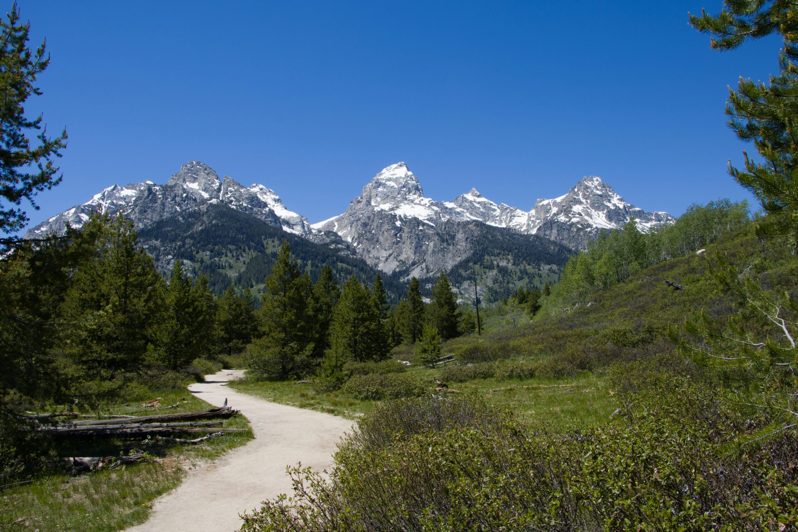 The Best Hikes in Rexburg, ID: Discover Scenic Trails and Stunning Views 